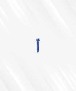 Mini Screw (Single Slotted)