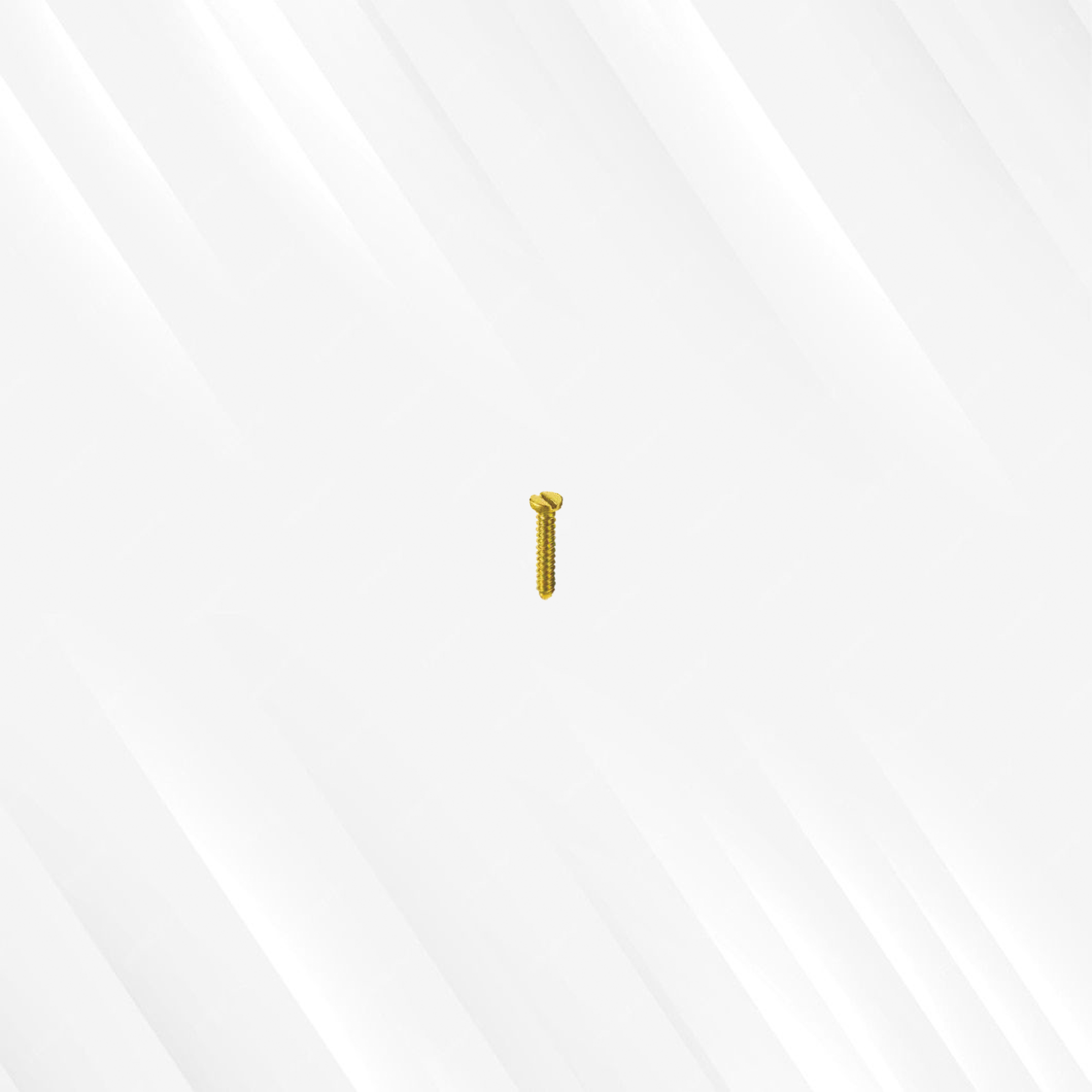 2.5 mm Emergency Screw (Single Slotted)