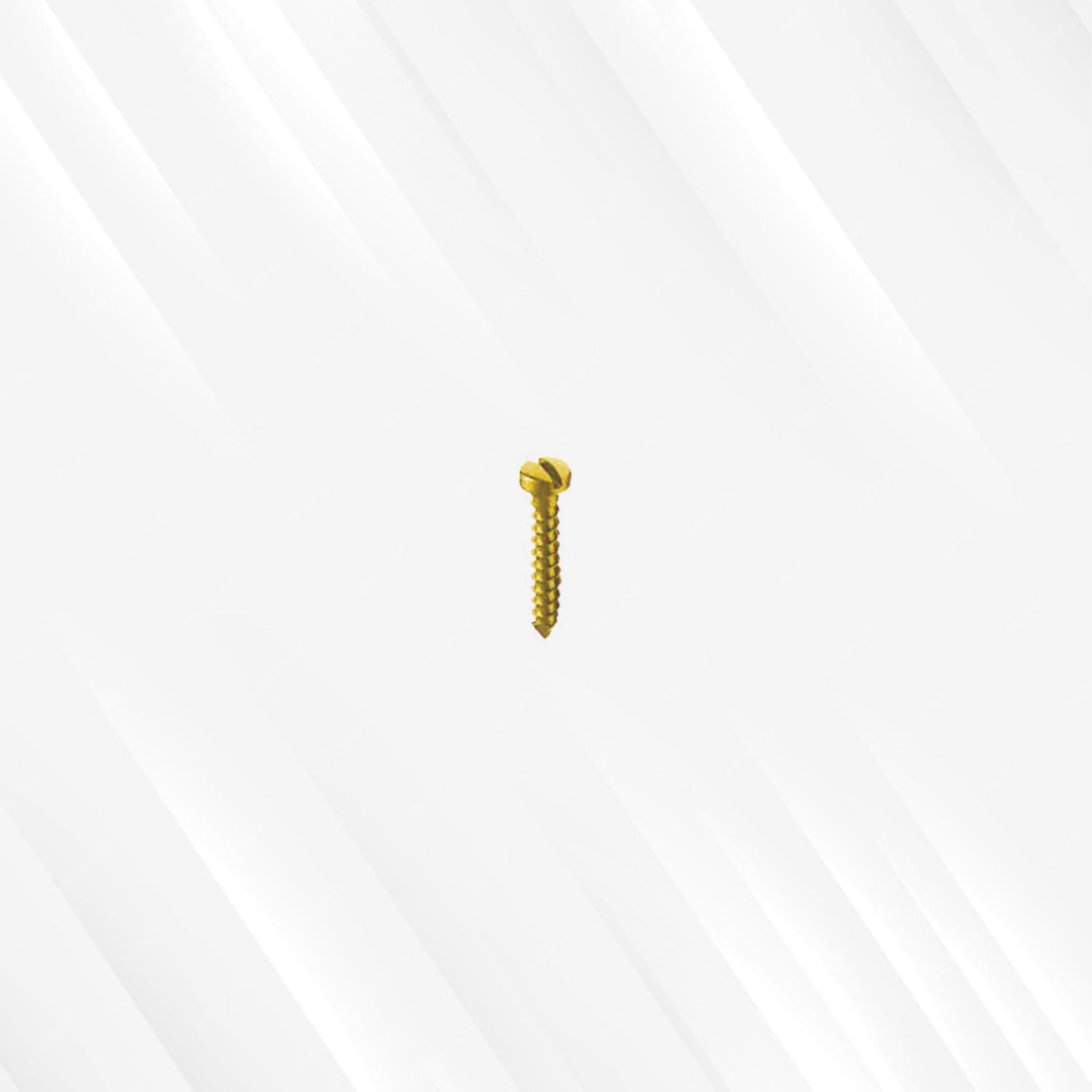 Emergency Screw (Single Slotted)