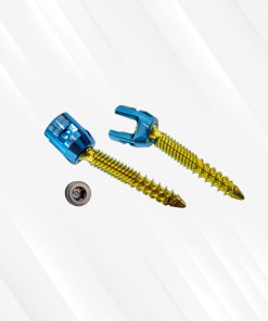 Polyaxial Screw