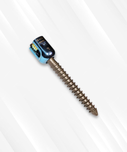 Regular Monoaxial Screw