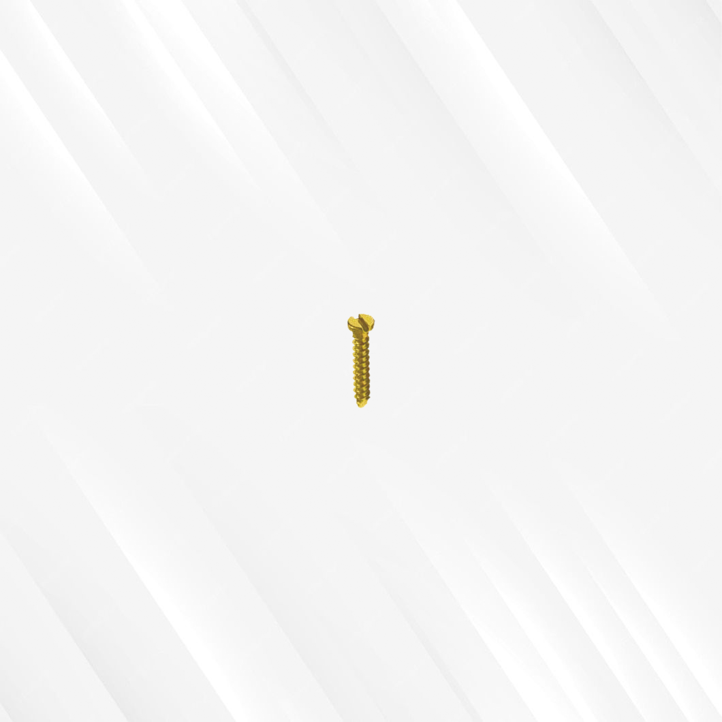 Emergency Screw (Single Slotted)