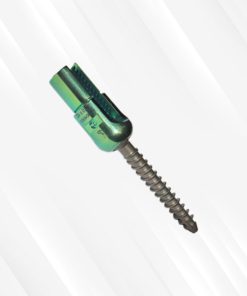 Regular Reduction Polyaxial Screw