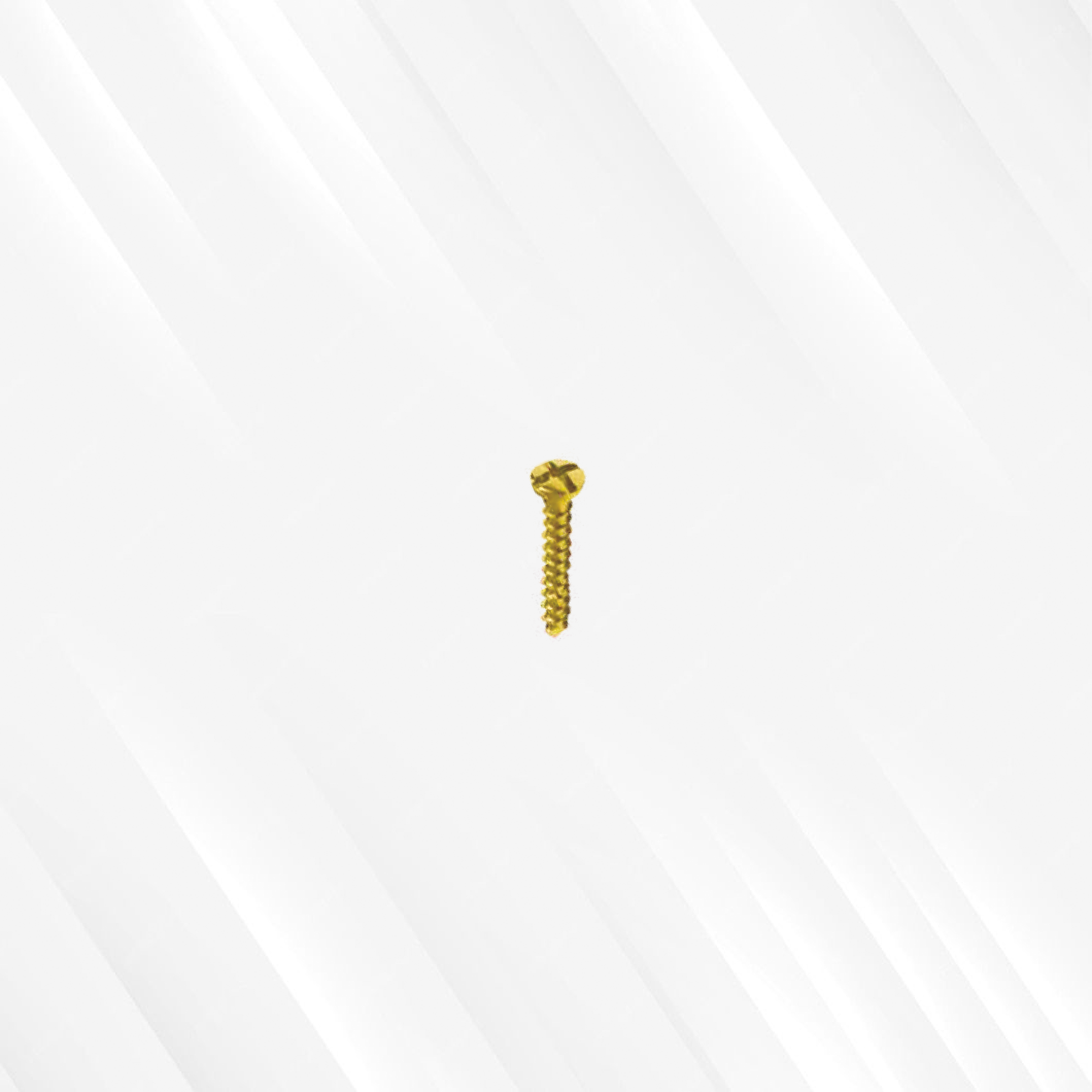 Emergency Screw (Cross Slotted)