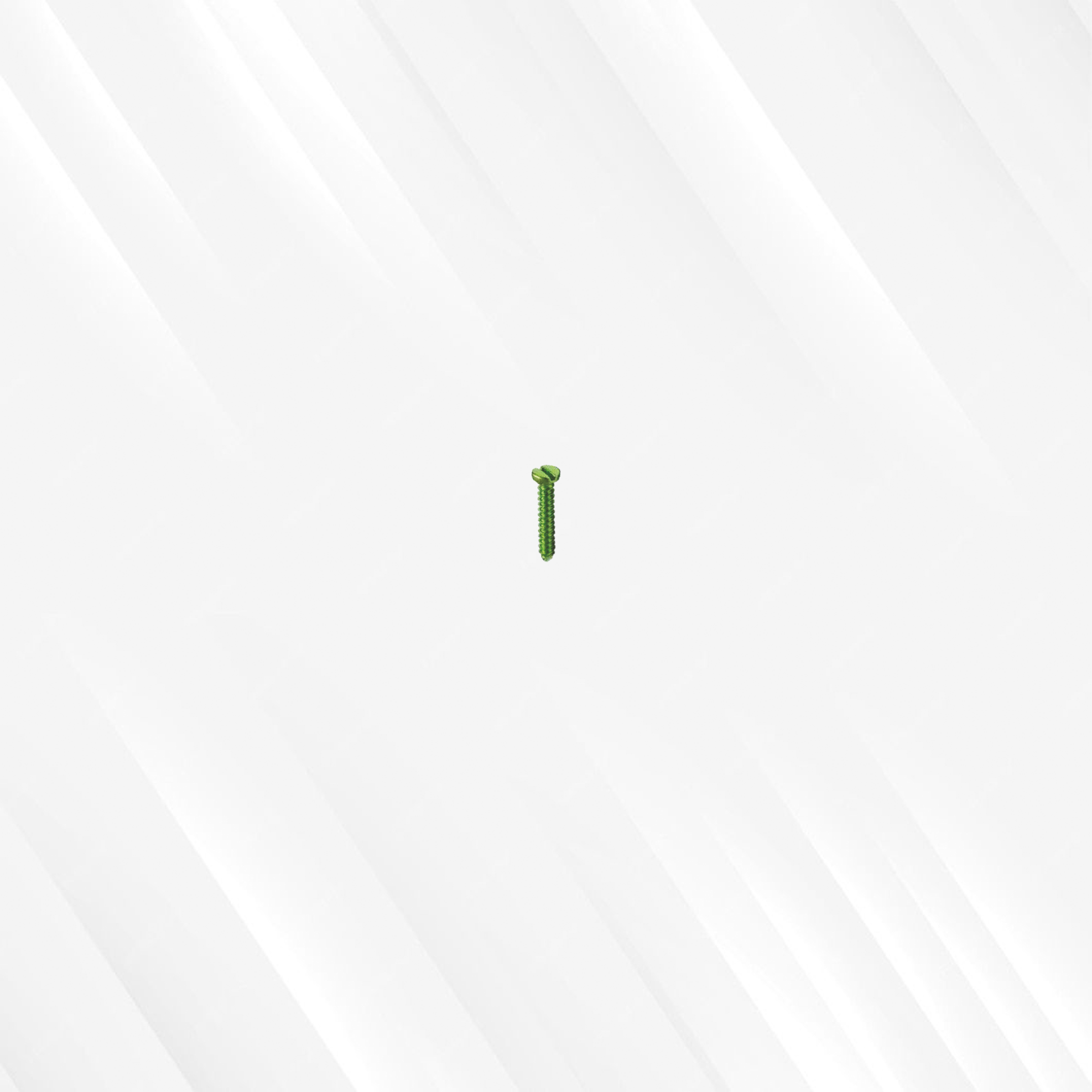 2.5 mm Mini Screw (Single Slotted)