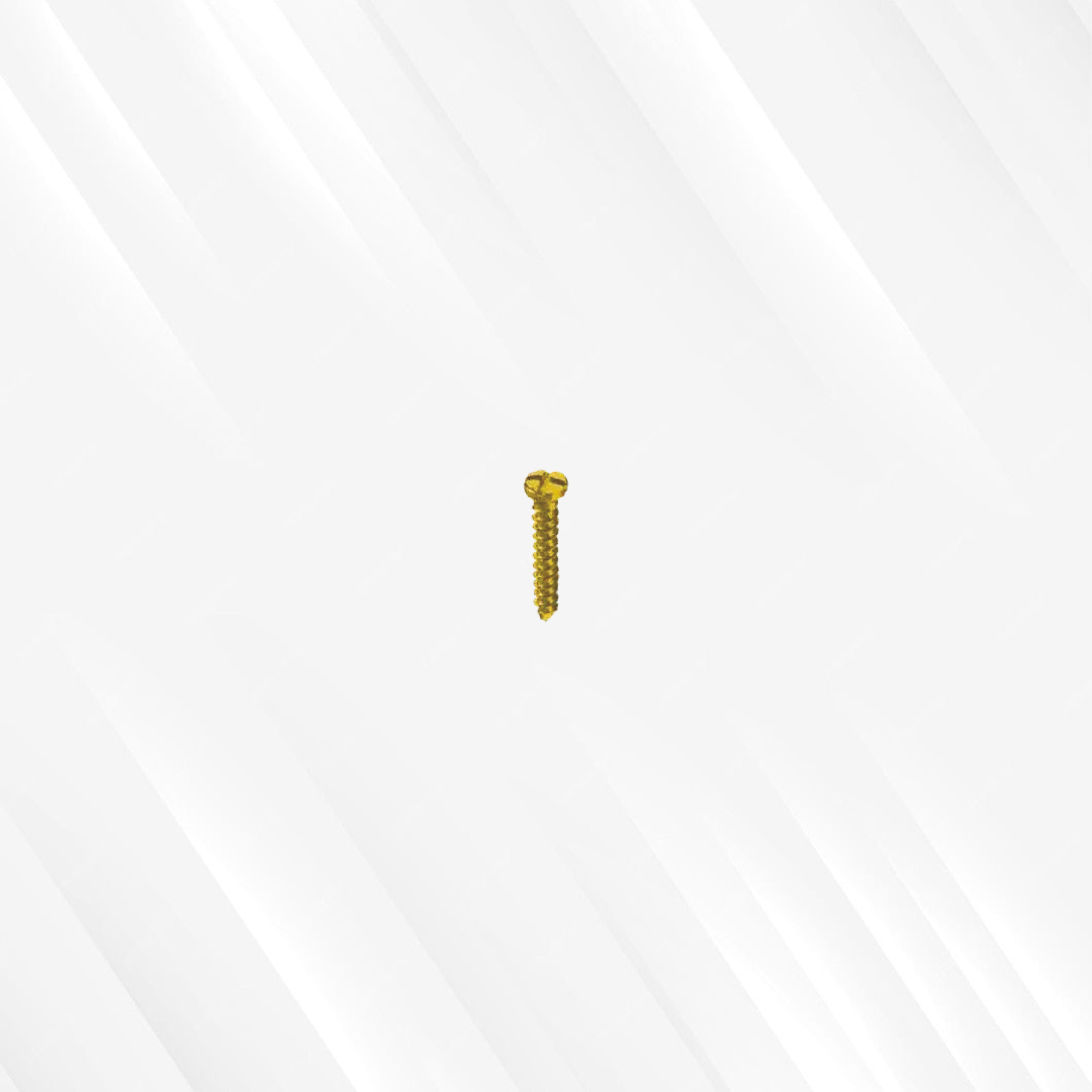 Emergency Screw (Cross Slotted)