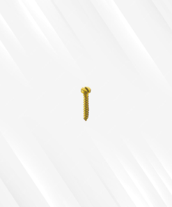 Emergency Screw (Single Slotted)